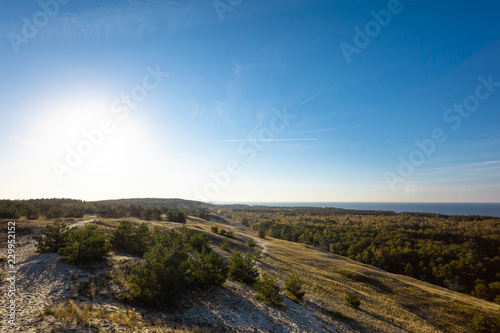beautiful view of the protected area near the sea, Curonian Spit National Park
