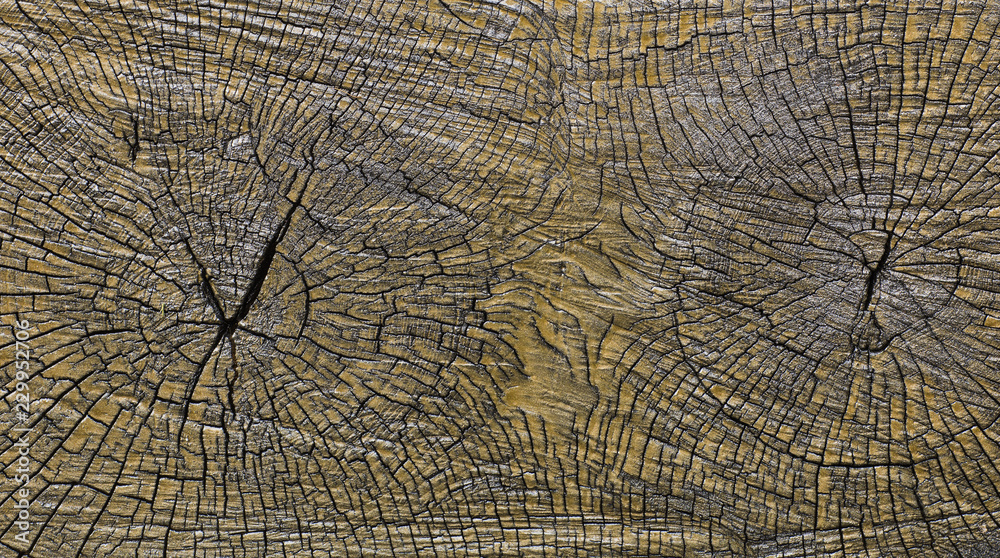 Fototapeta premium empty old bright wooden christmas background