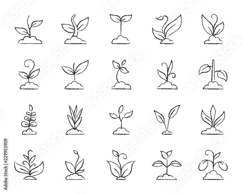 Grass charcoal draw line icons vector set