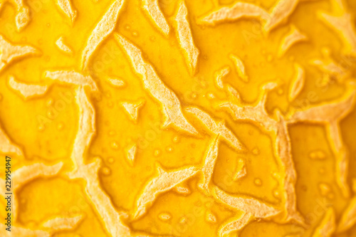 Texture of yellow very ripe melon. Rough surface. The surface is stroked by its nature pattern. Melon skin close up round shaped view as a melon texture. Shallow DOF, selective soft focus.