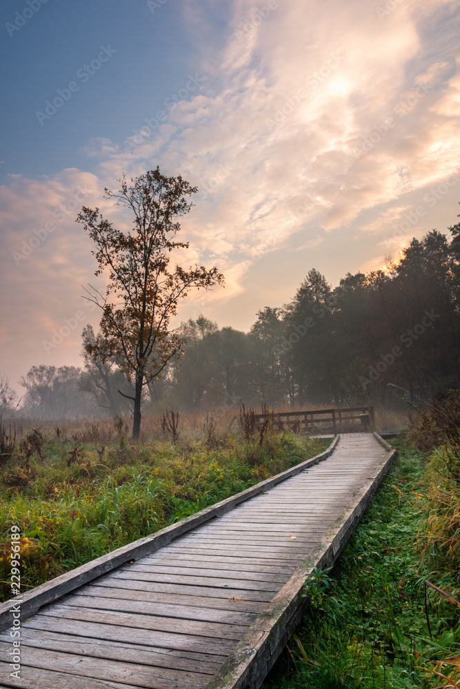 Fototapeta premium Sunrise over the footbridge in park in Konstancin Jeziorna, Mazowieckie, Poland