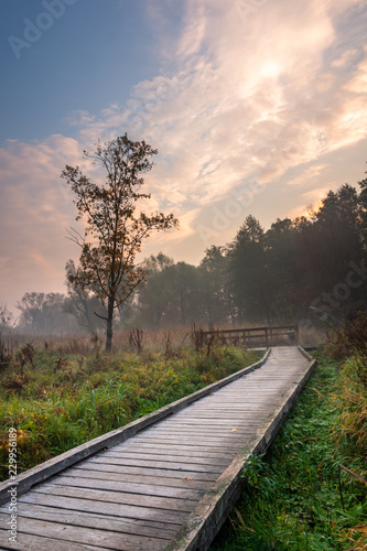 Sunrise over the footbridge in park in Konstancin Jeziorna, Mazowieckie, Poland