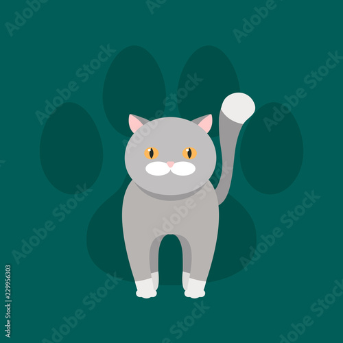 Grey cat with yellow eyes. Vector flat pet. Paw mark.