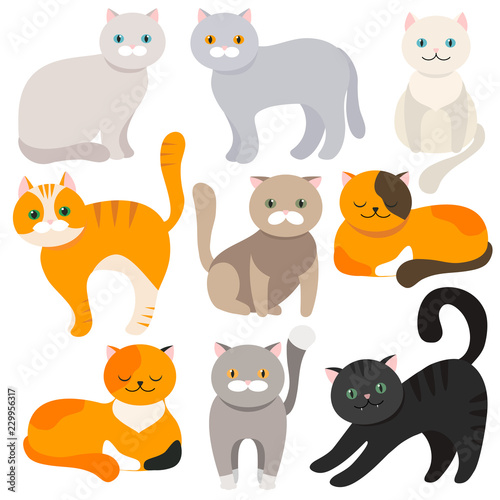 Cat. Set of flat cartoon icons. Vector.