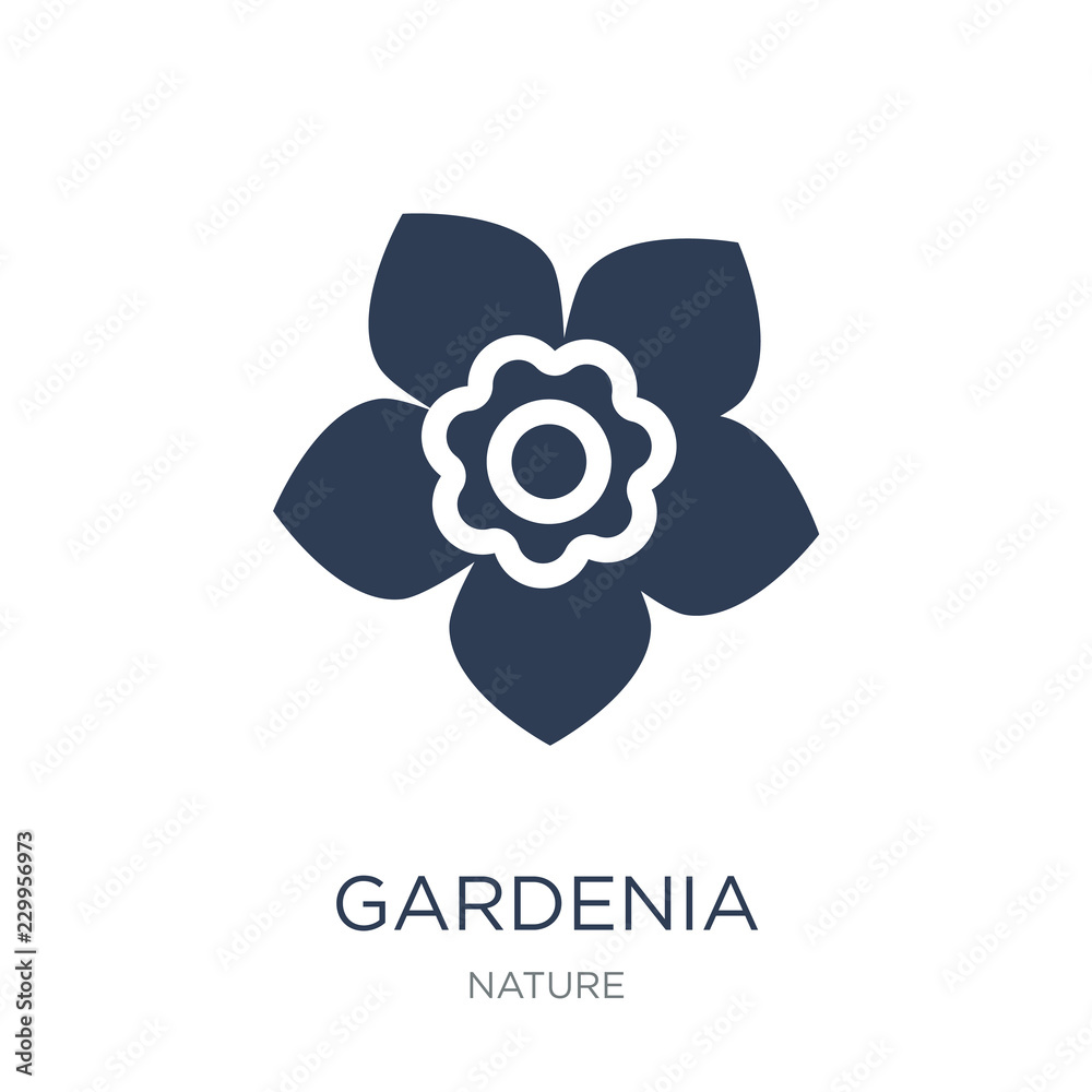 Gardenia icon. Trendy flat vector Gardenia icon on white background from nature collection Gardenia icon. Trendy flat vector Gardenia icon on white background from nature collection