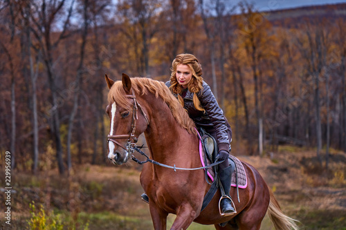 Portrait of a young beautiful woman with long brown hair. Woman on a horse walk in the forest.
