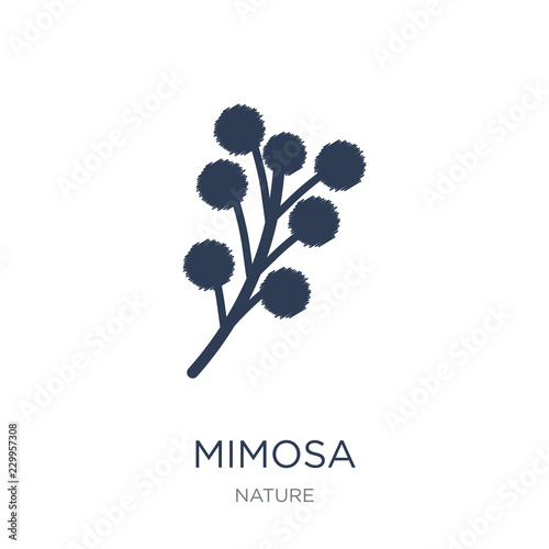 Mimosa icon. Trendy flat vector Mimosa icon on white background from nature collection