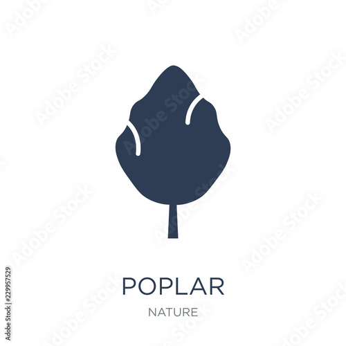 Poplar icon. Trendy flat vector Poplar icon on white background from nature collection