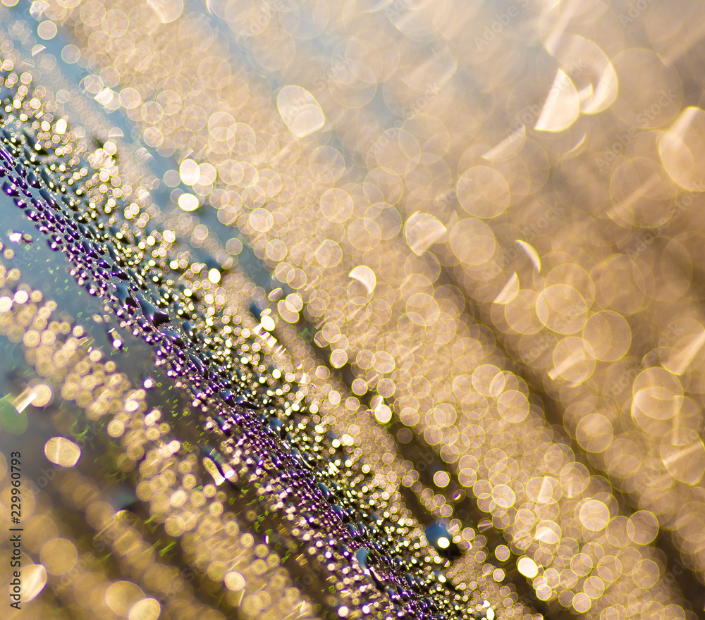 Water drops golden bokeh Water drops golden bokeh