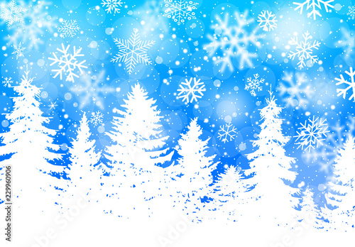 Winter landscape with fir trees and snowfall