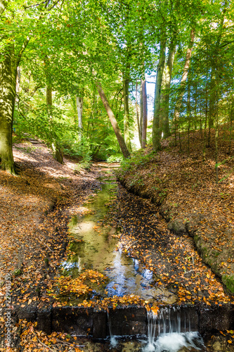 Lttle stream in a Dutch forest in National Park Posbank and  Veluwe in Gelderland, Netherlands photo