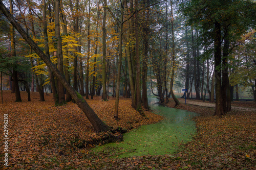 Park on a foggy morning in Konstancin Jeziorna, Mazowieckie, Poland photo