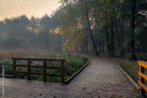 Park on a foggy morning in Konstancin Jeziorna, Mazowieckie, Poland