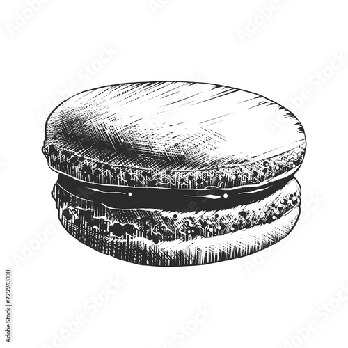 Vector engraved style illustration for posters, decoration and print. Hand drawn sketch of macaroon, monochrome isolated on white background. Detailed vintage woodcut style