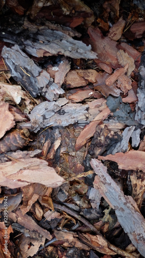 Walsboden Rindenmulch Walsboden Rindenmulch