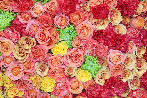 flower picture of roses  carnations and chrysanthemums    