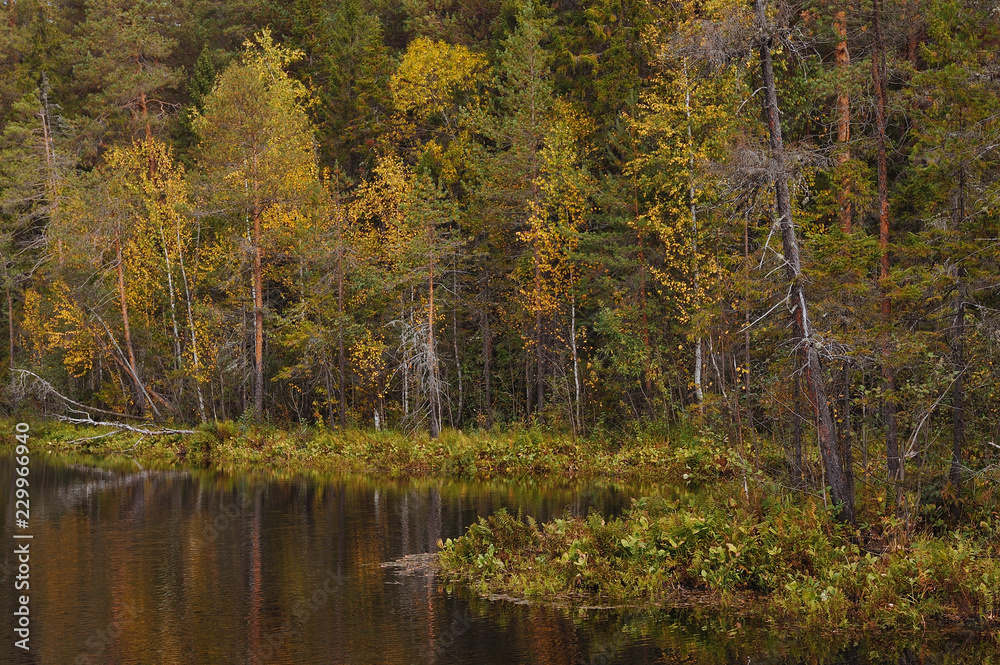 The breath of autumn