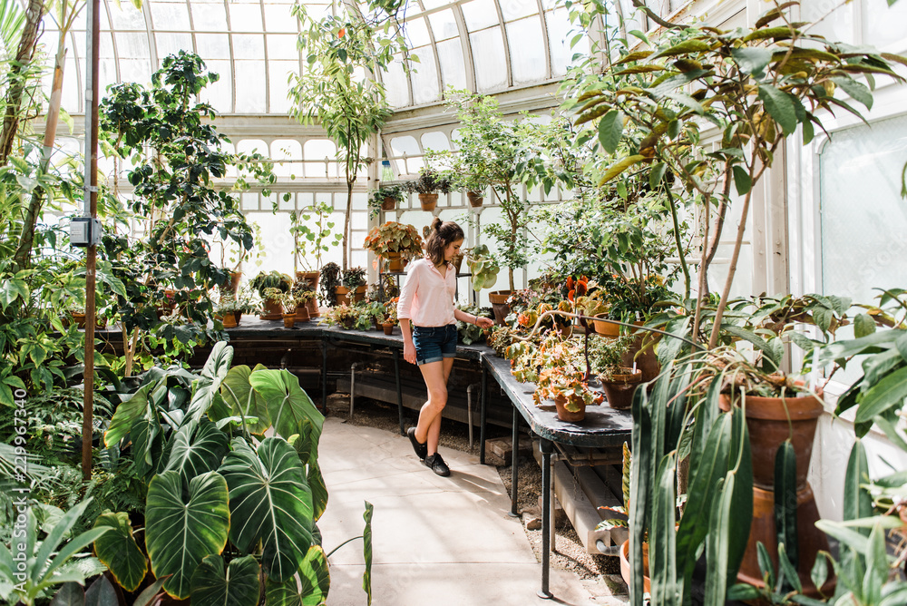 teenage girl looking at beautiful flowers in greenhouse teenage girl looking at beautiful flowers in greenhouse