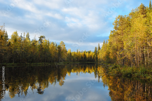 Early autumn on the forest lake.