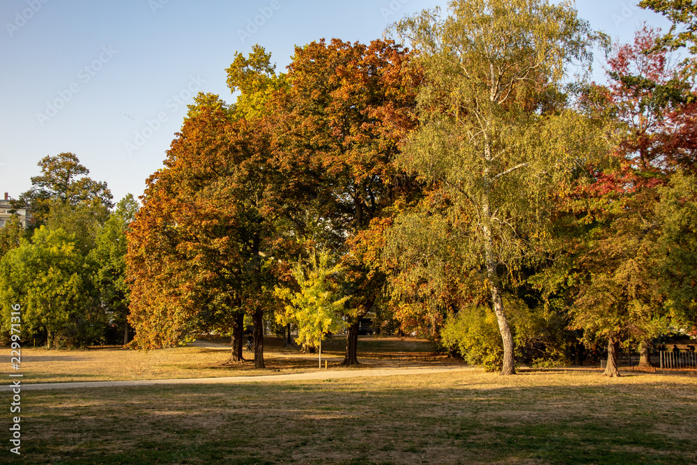 Naklejka premium Wundervolle Herbstansicht mit Alleen,Teich ,Brücke und bunt gefärbten Bäumen und Blättern in Leipzig