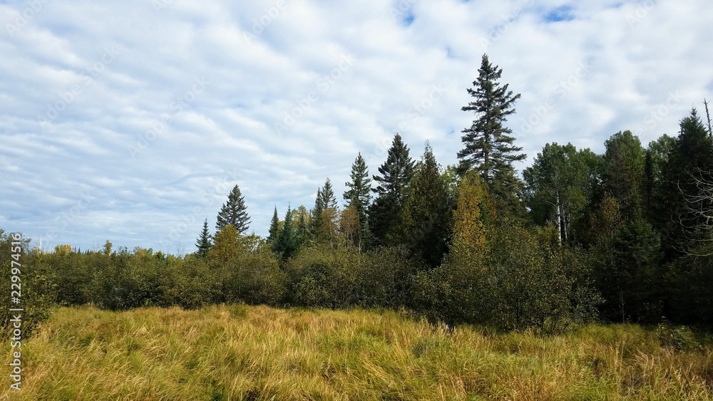 Prairie Prairie