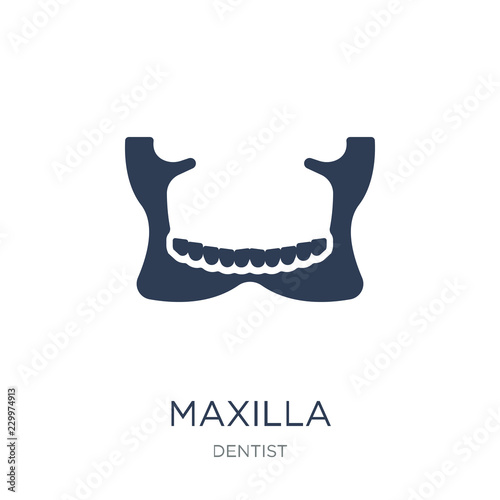 Maxilla icon. Trendy flat vector Maxilla icon on white background from Dentist collection