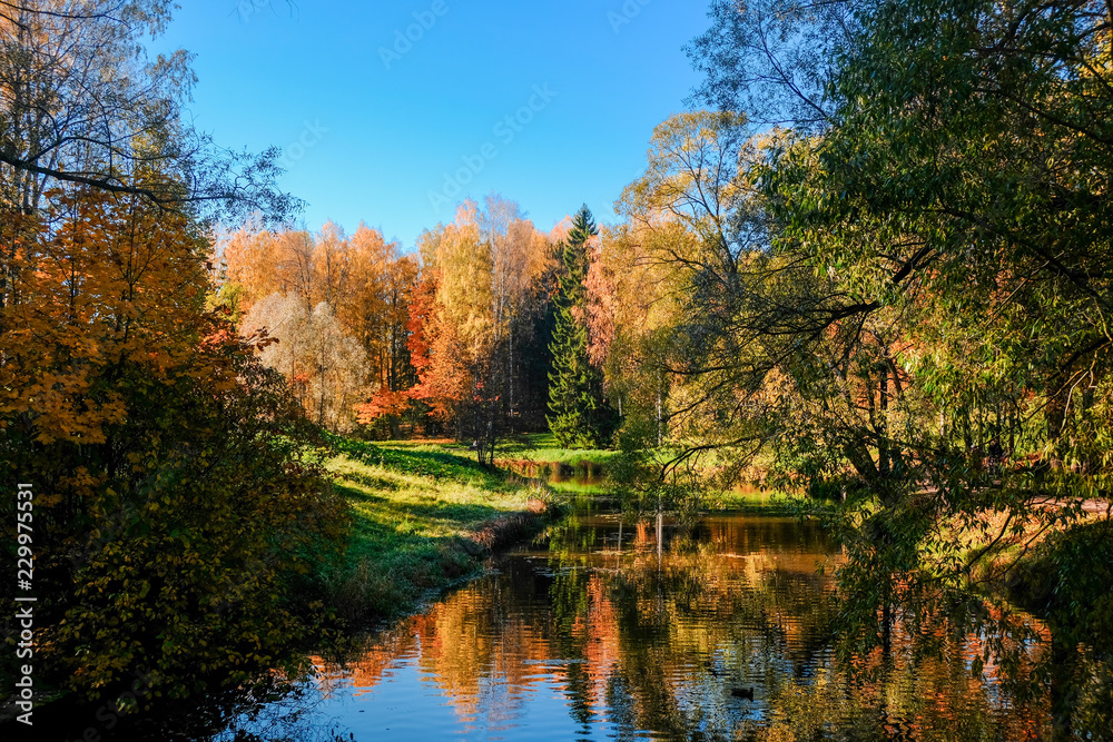 Beautiful autumn sunny landscape in Pavlovsk park with the park pond, red and orange leaves on trees, Pavlovsk, St. Petersburg.