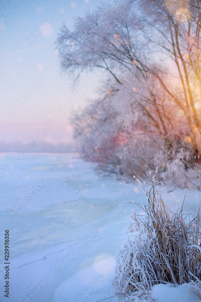 Naklejka premium winter Landscape with Frozen lake and snowy trees