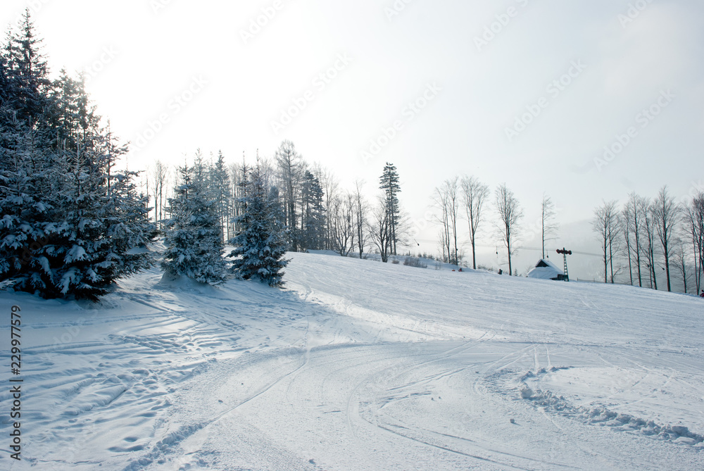 Obraz premium zima w górach