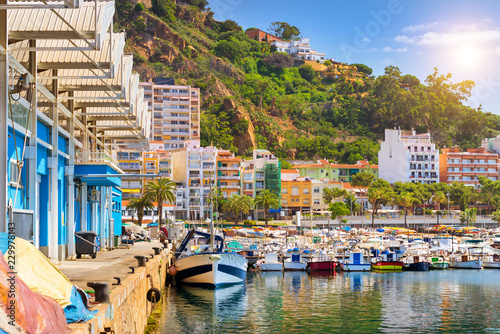 Fishing boats and yachts moored at pier in port Blanes. Motorboats with catch of sea fish, oysters, squid, sea delicacies. Fish auction for wholesalers and restaurants. Blanes, Spain, Costa Brava