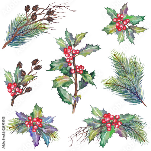 Set of Christmas branches with holly berry plant  pine  dry twigs and cones. Watercolor illustration. Isolated elements for design.