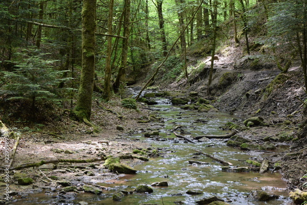 Hörschbachschlucht Hörschbachschlucht