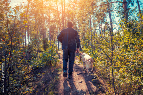 Photography A man with Labrador retriever dog walking in the forest in autumn