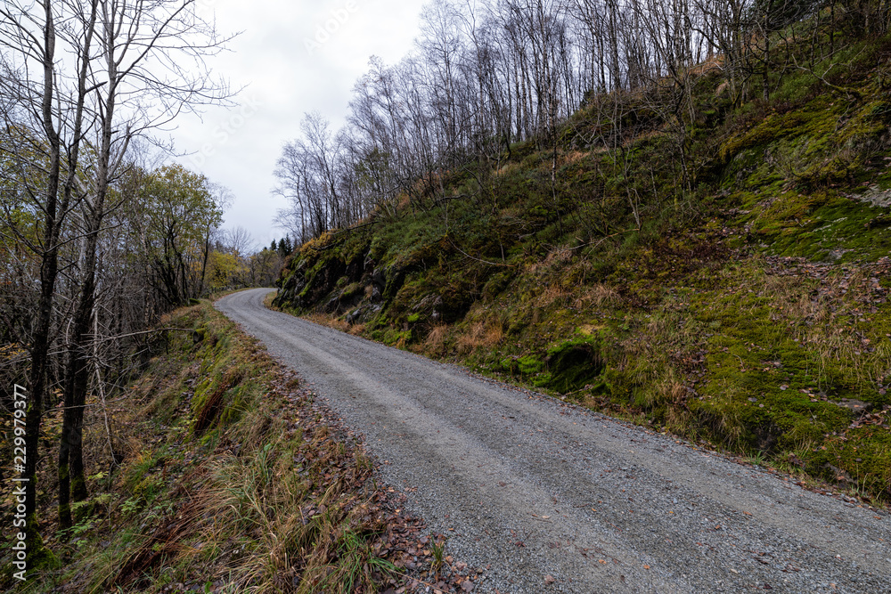 Obraz premium narrow dirt road