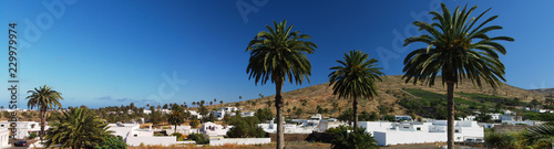 Valle de las mil palmeras, Haría, Lanzarote, îles Canaries photo