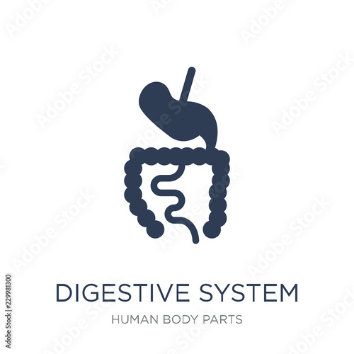 Digestive System icon. Trendy flat vector Digestive System icon on white background from Human Body Parts collection
