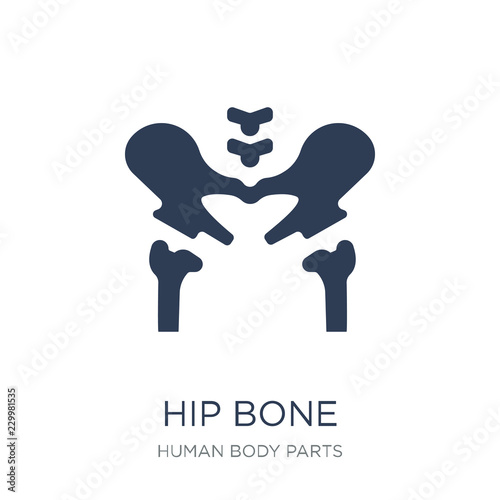 Hip Bone icon. Trendy flat vector Hip Bone icon on white background from Human Body Parts collection