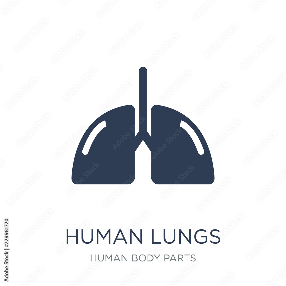 Human Lungs icon. Trendy flat vector Human Lungs icon on white background from Human Body Parts collection