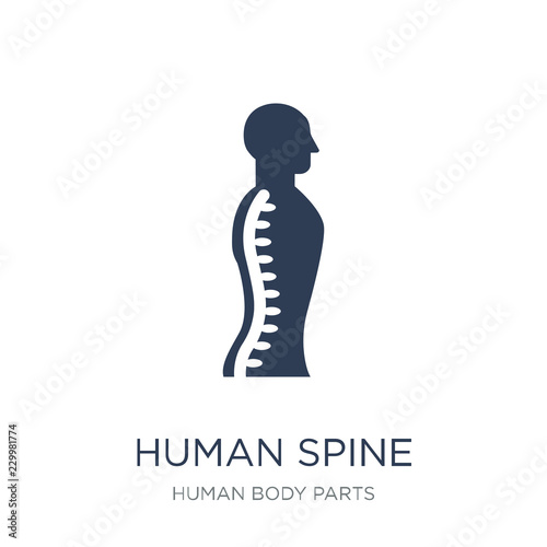 Human Spine icon. Trendy flat vector Human Spine icon on white background from Human Body Parts collection