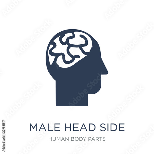 Male head side view with brains icon. Trendy flat vector Male head side view with brains icon on white background from Human Body Parts collection