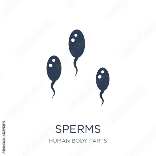 Sperms icon. Trendy flat vector Sperms icon on white background from Human Body Parts collection