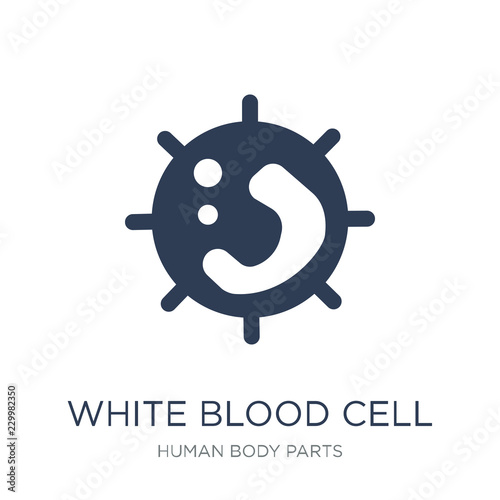 White blood cell icon. Trendy flat vector White blood cell icon on white background from Human Body Parts collection
