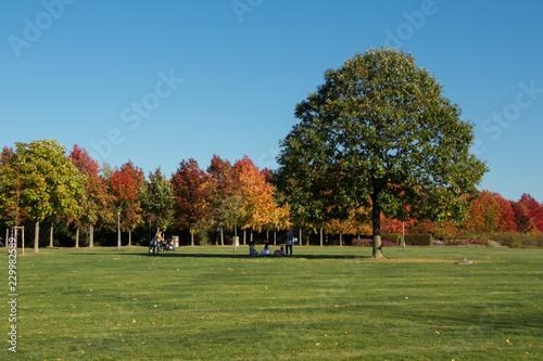 autumn landscape, park with bright autumn colors