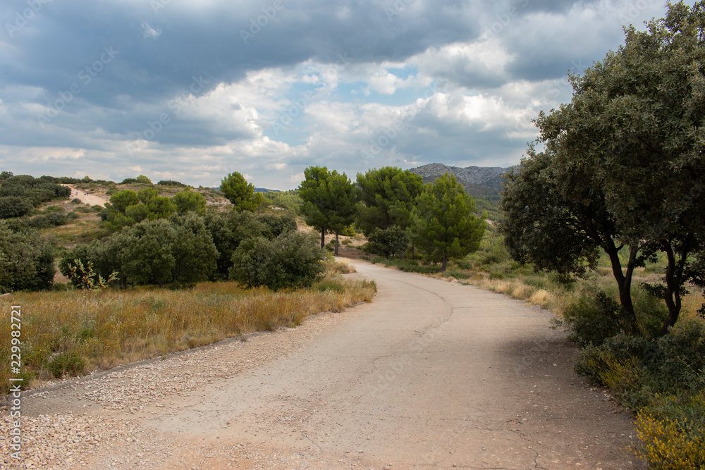 Le chemin dans les collines