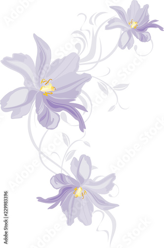 Lilac tulips. Decorative element for design