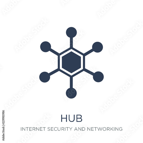 Hub icon. Trendy flat vector Hub icon on white background from Internet Security and Networking collection photo