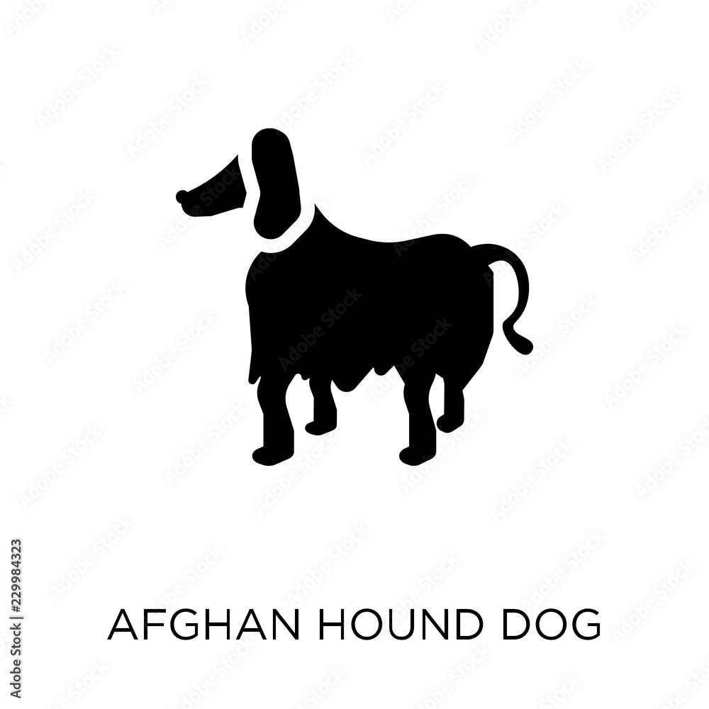 Afghan Hound dog icon. Afghan Hound dog symbol design from Dogs collection.