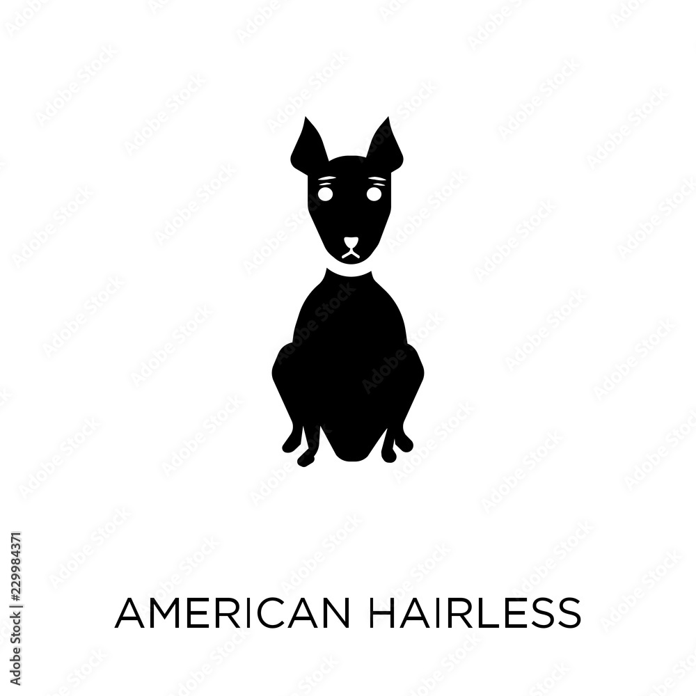 American Hairless Terrier dog icon. American Hairless Terrier dog symbol design from Dogs collection.