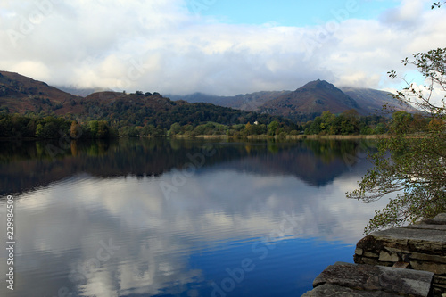Dow Bank, trees, and sky are reflected on to Grasmere water, Lake District, in the afternoon autumn sun. Foreground in sharp focus, with a slight softness in background to add character