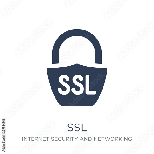 Ssl icon. Trendy flat vector Ssl icon on white background from Internet Security and Networking collection